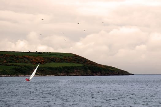 a yacht sailing towards a storm with seagulls flying above them