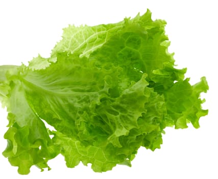 lettuce leaves, isolated