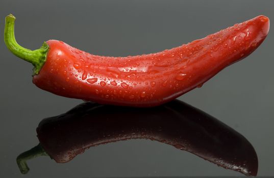 close-up on a fresh chili pepper, isolated on black, copy space