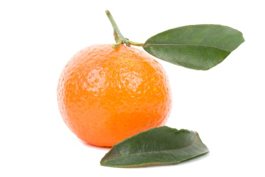 single tangerine with leaves, isolated on white