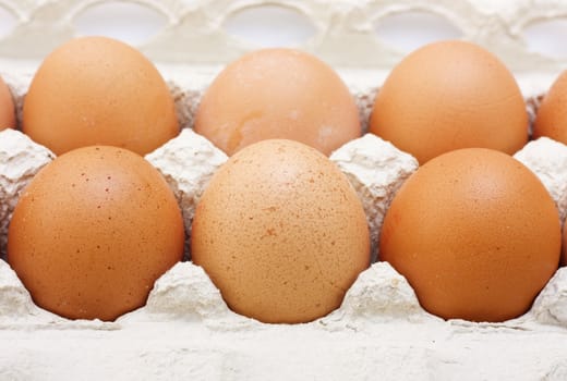 eggs in a carton