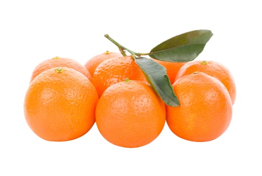  tangerines, isolated on white