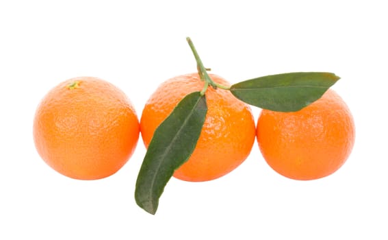 tree tangerines, isolated on white