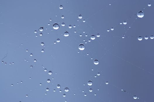 Close-up of the spider´s web wet with dew