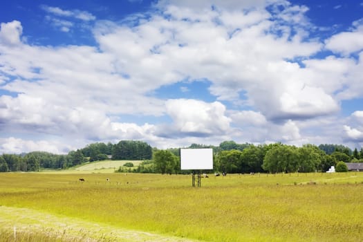 rural landscape with cows and blank billboard