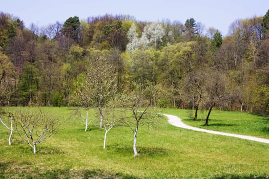 Spring Park