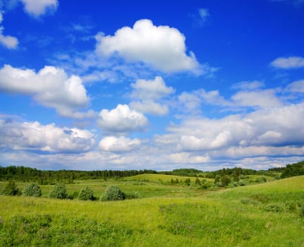 summer landscape