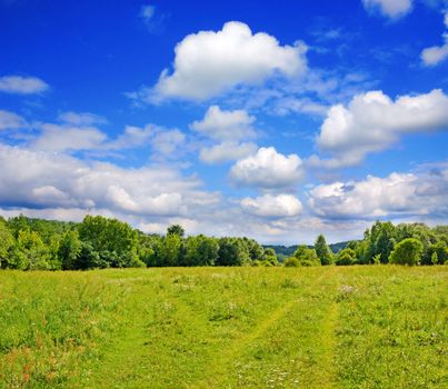 summer landscape