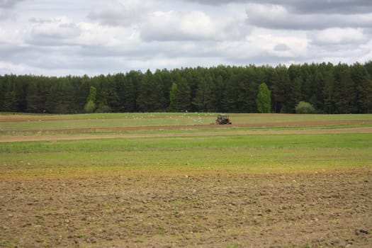 spring work in the field, tractor
