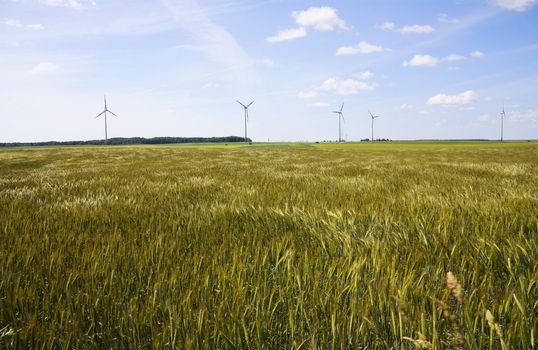 field, wind generators