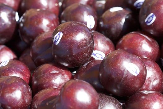 A shot of plums at the market.
