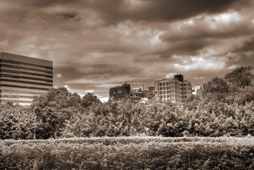 Beautiful cityscape with garden and trees in Taipei.
