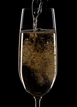 Celebration champagne on black background.