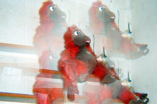 orangutan de peluche en lo alto de un estante