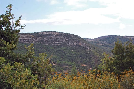 paisaje de montaña