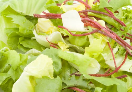 lettuce green salad - healthy eating - vegetables - close up