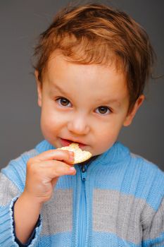 Little boy in a blue sweater eating a cookie, in studio