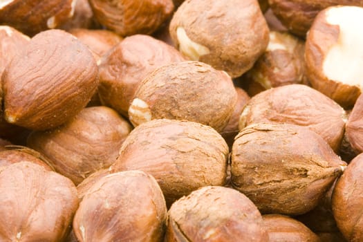 a lot of raw hazelnuts - close up
