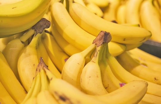 A display of yellow bunches of Bananas in a Grocery Store.