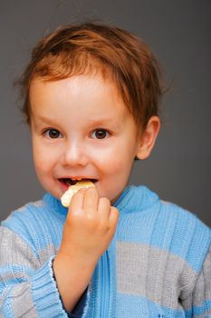 Little boy in a blue sweater eating a cookie