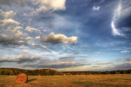 Shot of the summer landscape - agriculture