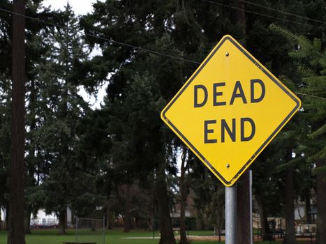 A mounted Dead End sign with a park in the background.