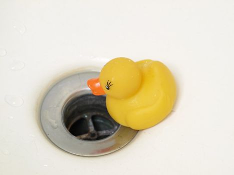 A yellow rubber duck sits on the edge of the drain in a white bathtub.