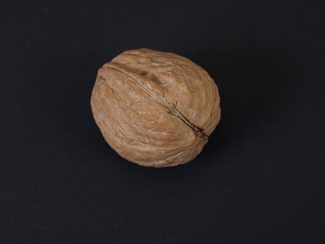 A single walnut in a shell isolated against a black background.