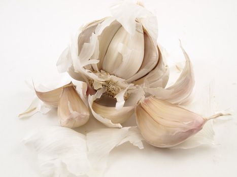 A white clove of Garlic broken open and isolated on a white back ground