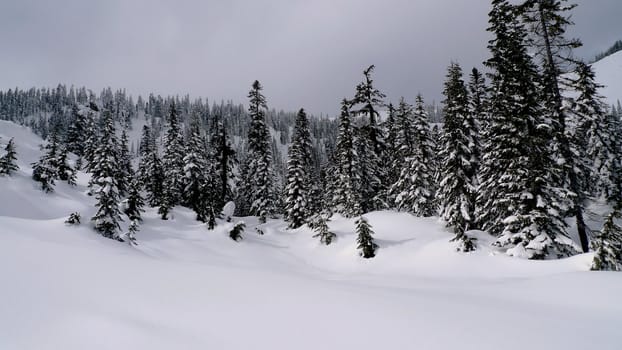 a snow valley in the winter time