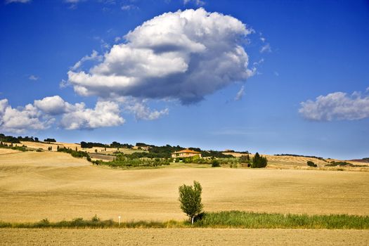 Landscape around Pienza at the Tuscany Italy
