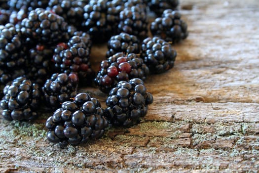 Fresh picked blackberries on a wood textured background.