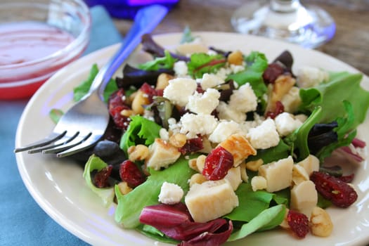 Chicken salad with pecans and cranberries along with Feta cheese.