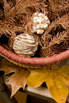 contemporary decoration to decorate the home this autumn