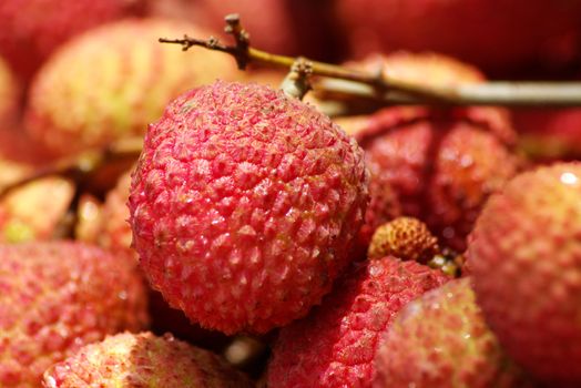 Close up of red litchis