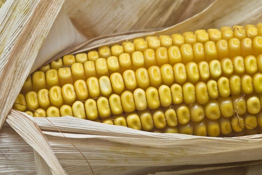 A close up of a dried corncob.