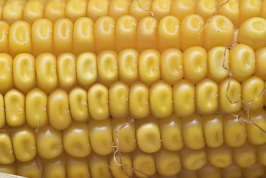 A close up of a dried corncob.