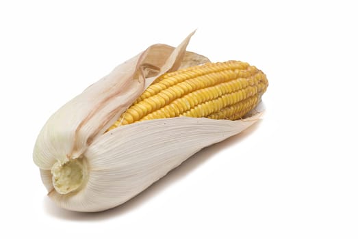 Dried corncobs with its skin isolated on a white background.