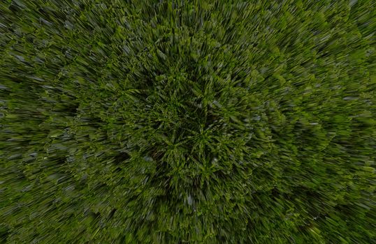 Abstract image - green texture - grass