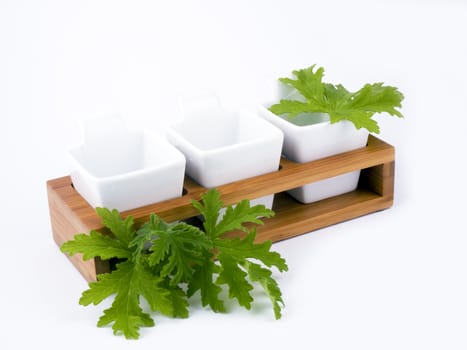 Three white porceline bowls placed on wooden support.