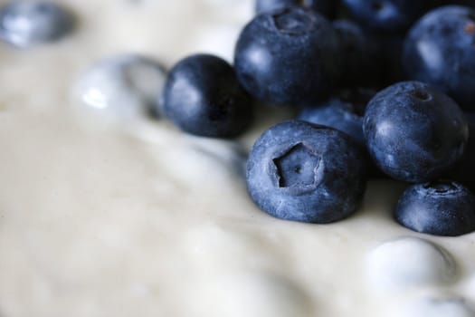 Macro close-up of blueberries in cream