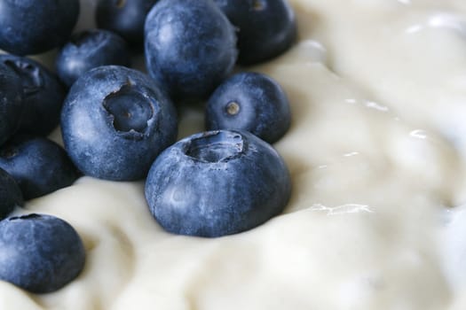 Close-up of fresh blueberries in dough soon to be pie or cake