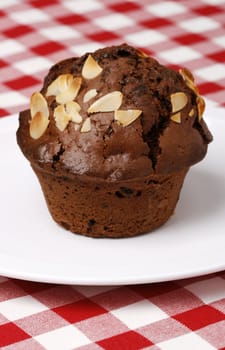 Delicious and freshly made chocolate muffin