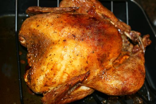A big roasted turkey on a gril.