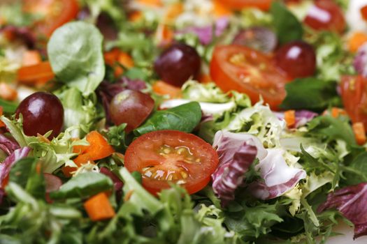 Delicious fresh and healthy salad with lettuce and tomatoes