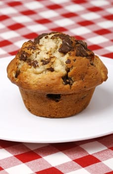 Delicious and freshly made chocolate chips muffin