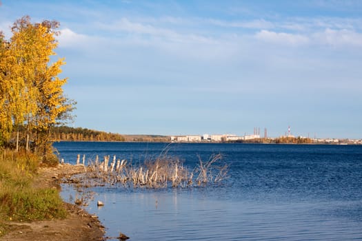 lake with yellow tres, blue sky and lifeless branches in water  
