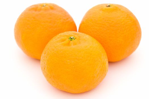 Three big tangerines on a white background