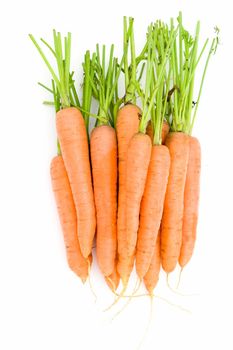 Much fresh carrots on a white background