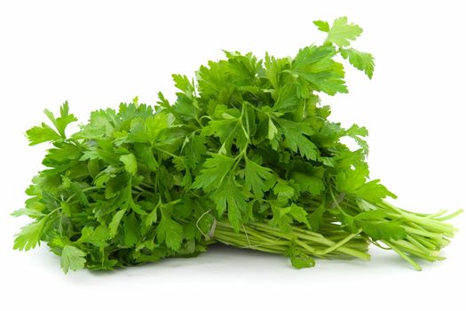 Dill. Green leaves on a white background.